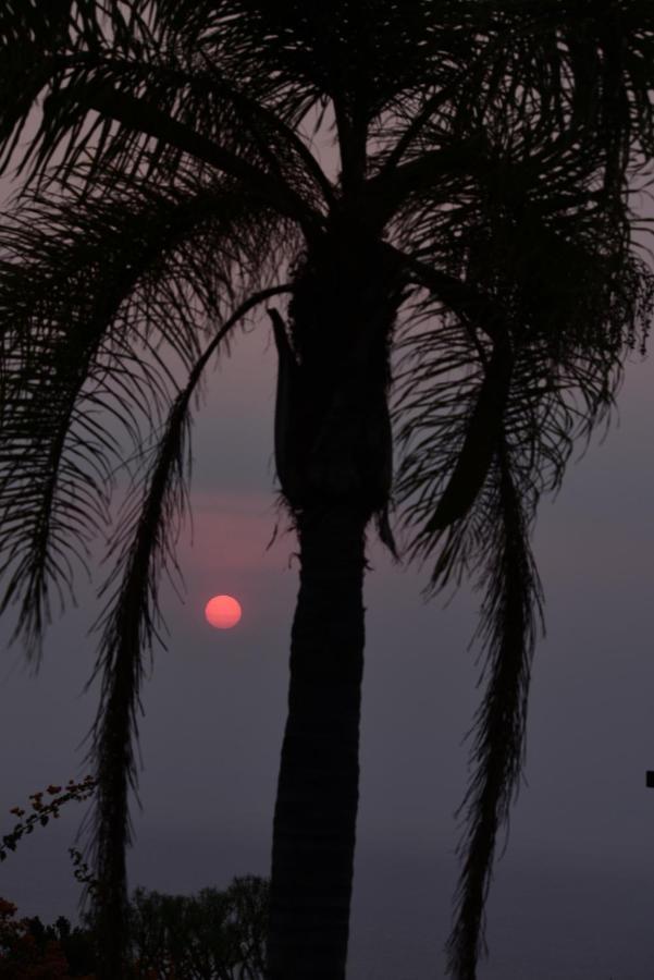 Apto. Dulia Puerto Rico  Buitenkant foto